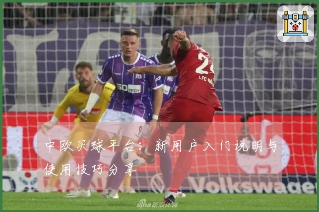 中欧买球平台:新用户入门说明与使用技巧分享