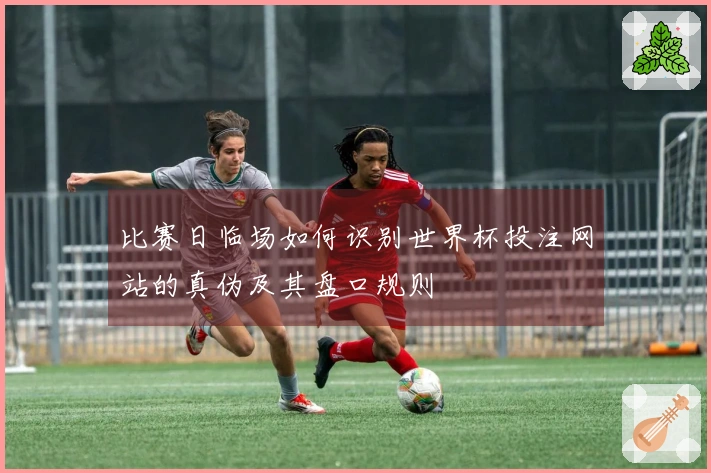 比赛日临场如何识别世界杯投注网站的真伪及其盘口规则