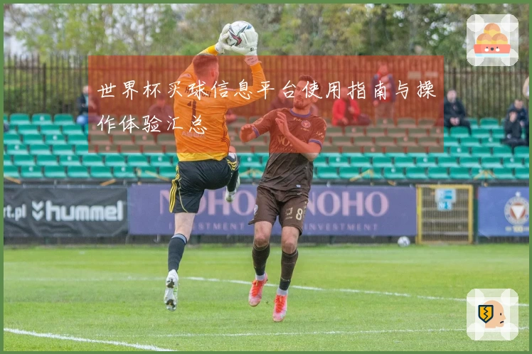 世界杯买球信息平台使用指南与操作体验汇总