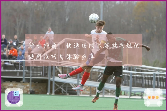 新手指南：快速访问买球站网址的使用技巧与体验分享
