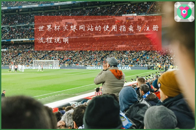 世界杯买球网站的使用指南与注册流程说明