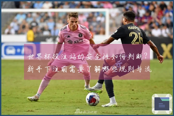 世界杯投注站的安全性如何判断？新手下注前需要了解哪些规则与流程