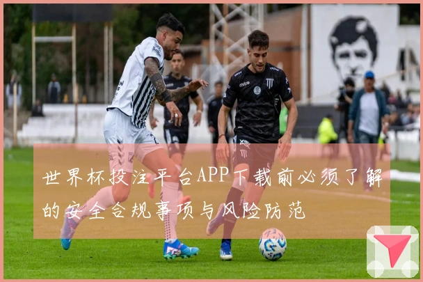 世界杯投注平台APP下载前必须了解的安全合规事项与风险防范