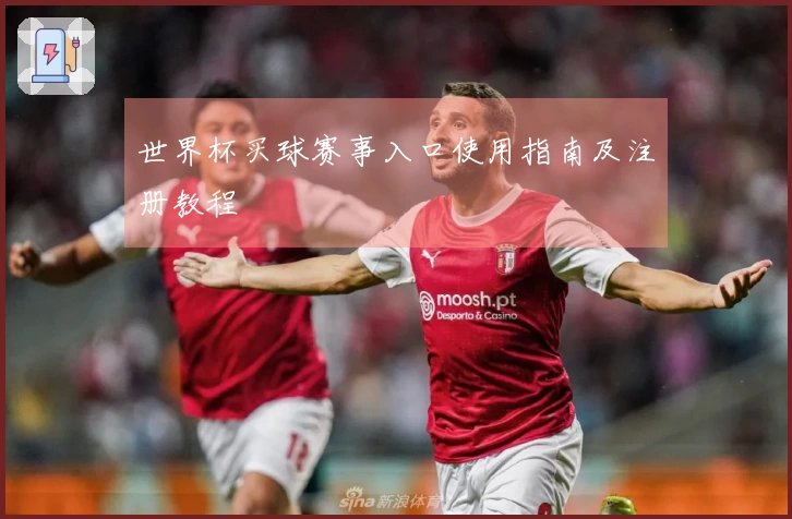 世界杯买球赛事入口使用指南及注册教程