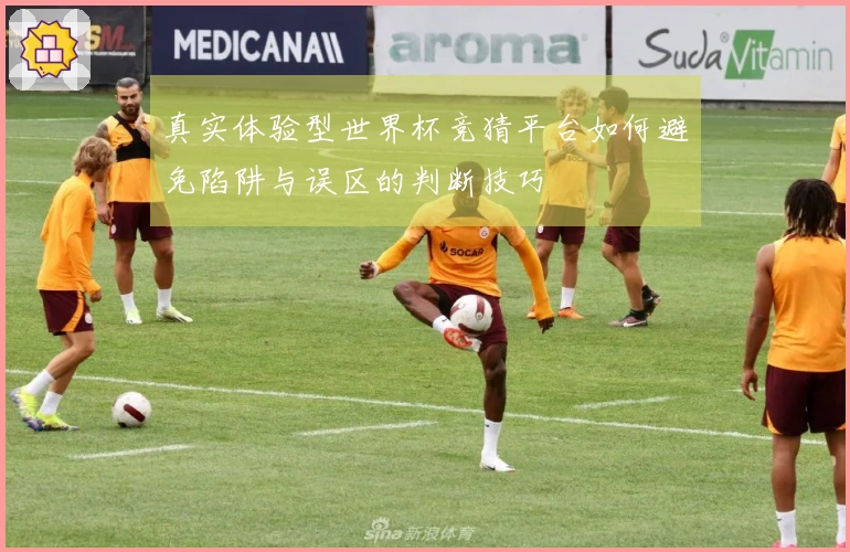 真实体验型世界杯竞猜平台如何避免陷阱与误区的判断技巧