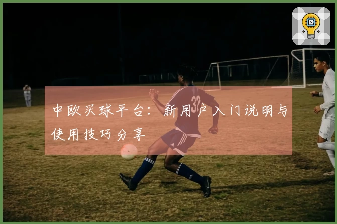 中欧买球平台：新用户入门说明与使用技巧分享