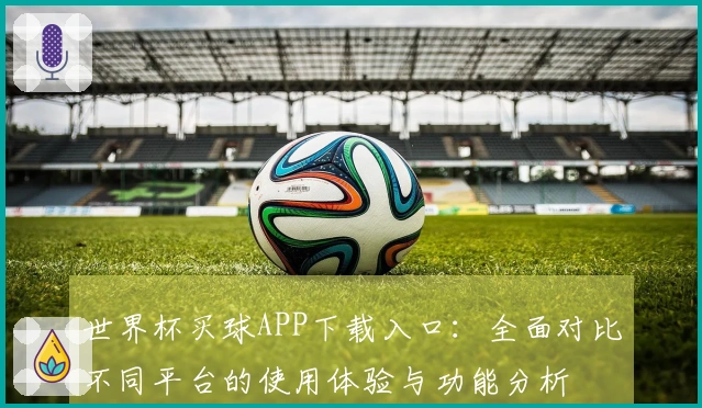 世界杯买球APP下载入口：全面对比不同平台的使用体验与功能分析