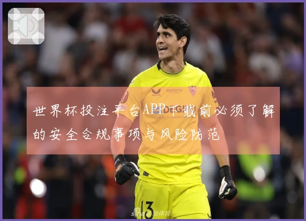 世界杯投注平台APP下载前必须了解的安全合规事项与风险防范
