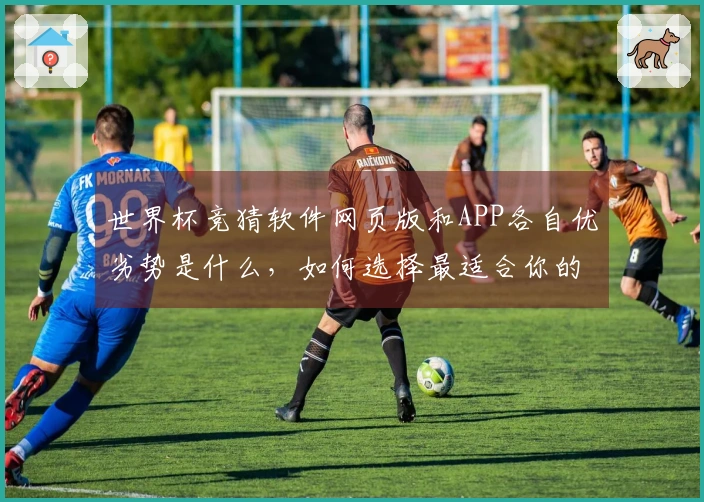 世界杯竞猜软件网页版和APP各自优劣势是什么，如何选择最适合你的？