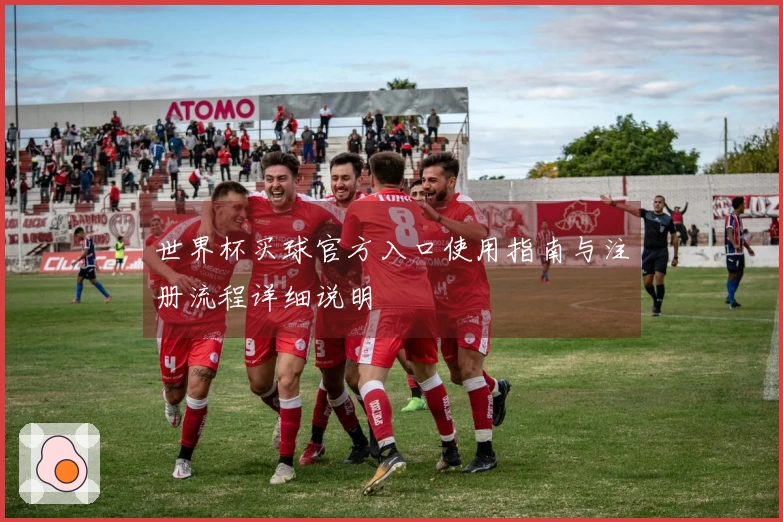 世界杯买球官方入口使用指南与注册流程详细说明