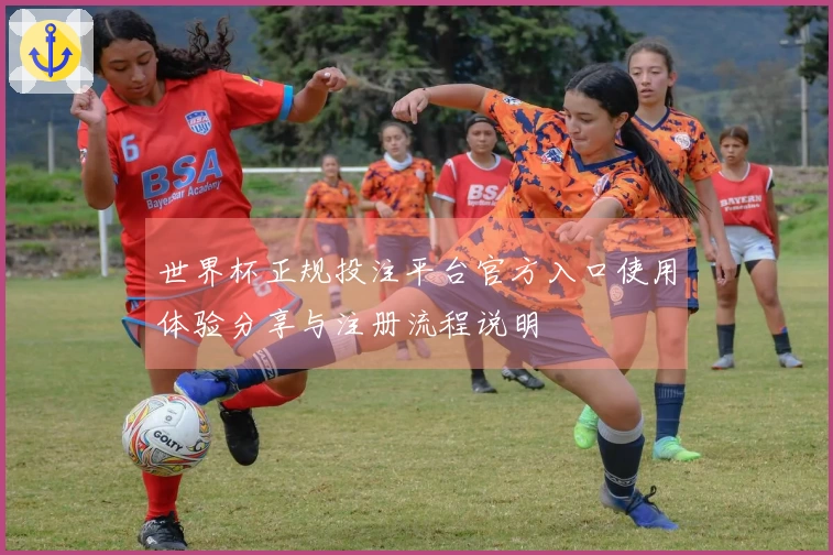 世界杯正规投注平台官方入口使用体验分享与注册流程说明