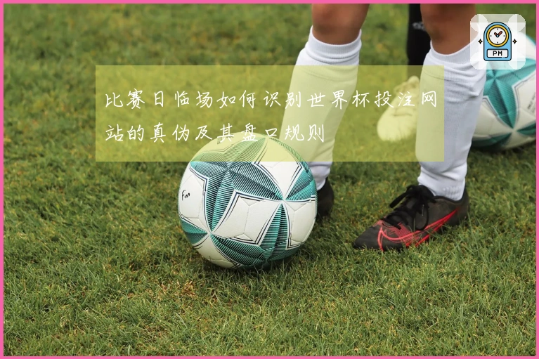 比赛日临场如何识别世界杯投注网站的真伪及其盘口规则